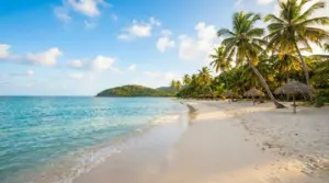 Spiaggia tropicale con sabbia bianca, palme e mare calmo in una giornata soleggiata
