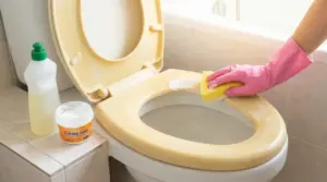 Pulizia di un sedile del water ingiallito con spugna e bicarbonato